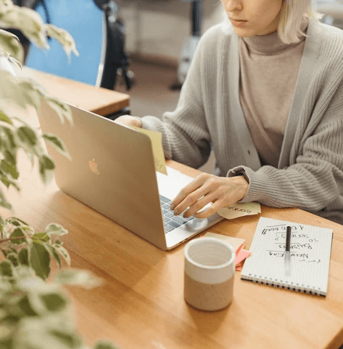 BTC Xorvel 9.2 illustrazione del team di supporto